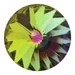 artistsupplysource1-768690