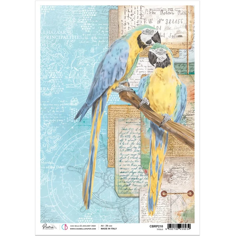 artistsupplysource1-787761