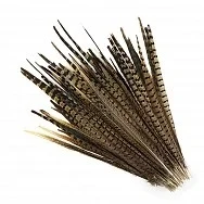artistsupplysource2-508655