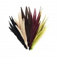 artistsupplysource2-645624