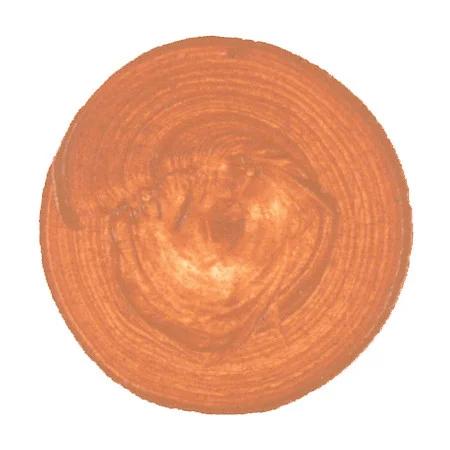 davincipaints-651833