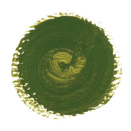 davincipaints-652876