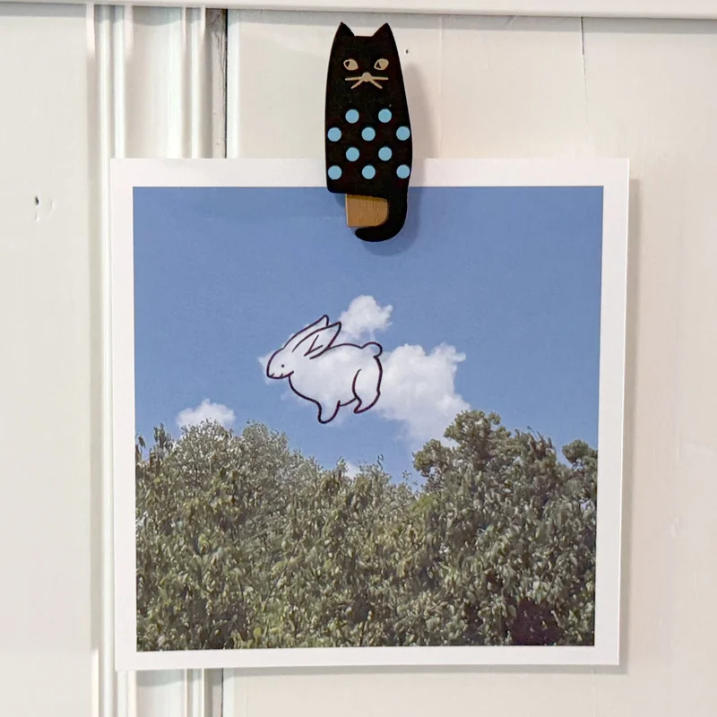 kaartist598644