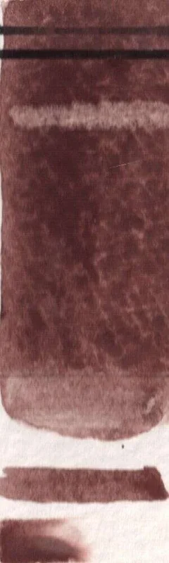 naturalpigments-654987