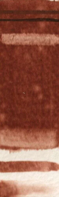 naturalpigments-654990