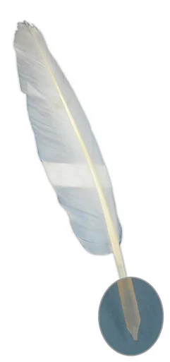 paperinkarts-480141