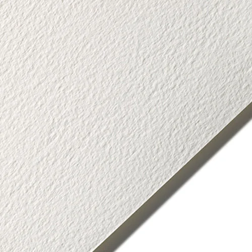 shop.archsupplies569061